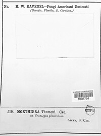 Image Associated With the Occurence
